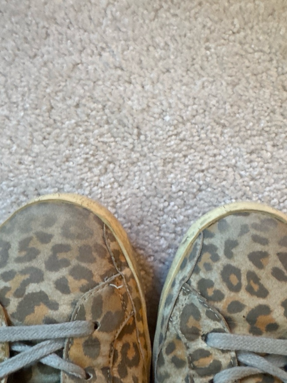 Golden Sneakers Leopard Print Low-Top Sneakers superstar - Picture 7 of 8